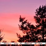 Красный уровень опасности из-за жары объявлен в Беларуси на 13 июля