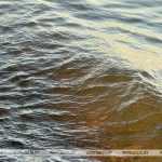 СК: только за июнь в Беларуси на воде погибли 9 детей