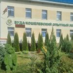 Буда-Кошелевский опытный лесхоз информирует