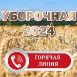 «Горячая линия» по охране и условиям труда участников жатвы