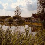 В Гомельском районе утонул несовершеннолетний