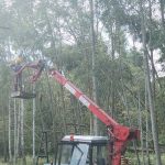 Бригада РЭС восстанавливает ЛЭП вдоль дороги Буда-Кошелево-Пытьковка