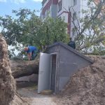 На территории Коммунаровской школы спасатели, педагоги, работники сельисполкома убирают поваленные деревья