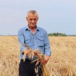Несмотря на прошедшую стихию и аномальную жару, на полях Гомельщины продолжается уборочная кампания