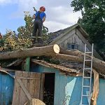 Сотрудники МЧС совместно с работниками сельисполкома на уборке упавших деревья в н.п. Александровка