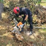 И в День пожарной службы спасатели РОЧС — на посту: заняты на распиловке поваленных деревьев в Дуравичах