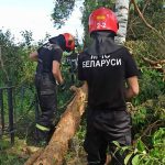 Спасатели РОЧС на расчистке гражданского кладбища в Антоновке