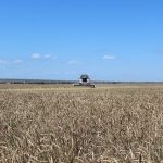 Сотрудники Буда-Кошелевского РОВД контролируют ход уборочной компании