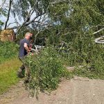 Произвели работы по расчистке территории в Потаповке