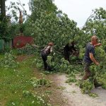 Уборка поваленных деревьев в д. Потаповка, д. Медведево, п. Победа и п. Муравей