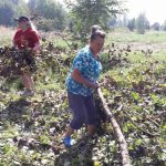 Депутат Октябрьского сельского Совета депутатов Екатерина Боженкова приняла участие в расчистке завалов деревьев в Дубовице