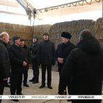 Лукашенко: этот год и пятилетка не просто о качестве, а о железной исполнительской дисциплине
