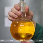 Почему рапсовое масло нужно включить в ежедневный рацион? Эксперты привели убедительные аргументы