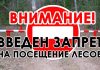 Посещение лесов на территории Буда-Кошелевского опытного лесхоза запрещено