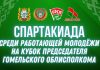 Впервые в Гомеле пройдет региональная спартакиада среди работающей молодежи на Кубок председателя облисполкома