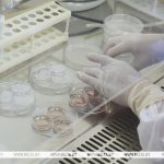 Вторую бесплатную попытку ЭКО могут начать предоставлять в Беларуси с 2026 года