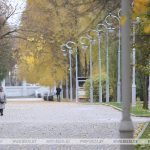 Оранжевый уровень опасности из-за порывистого ветра объявлен в Беларуси 31 октября