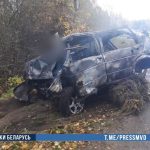 В Кричевском районе легковушка вылетела в кювет и загорелась, погибли два человека