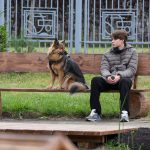 Налог на собак: каких изменений ждать в 2026 году?