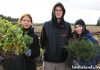 На Будакошелевщине поcадили саженцы березы и сосны