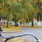 Осень добавила красок в привычные пейзажи Буда-Кошелево. Волшебное время!