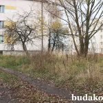 Расти, бурьян, выше дома