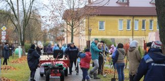 380 молодых деревьев высадили в парковой зоне г. Буда-Кошелево в рамках республиканского субботника