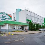 На месте старых теплиц 70-х годов прошлого века Светлогорский ЦКК строит новый тепличный комплекс