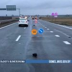 Смертельный наезд на пешехода совершен в Буда-Кошелевском районе