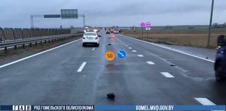 Смертельный наезд на пешехода совершен в Буда-Кошелевском районе