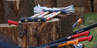 Лукашенко 7 ноября наколол дров и передал привет «доблестным журналистам»