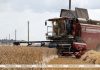 В Беларуси намолочено 10,4 млн тонн зерна с учетом рапса и кукурузы