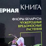 Быть в курсе. Черная книга Беларуси