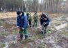 Работники Буда-Кошелевского опытного лесхоза сегодня трудятся на дополнении лесных культур
