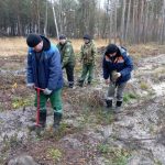 Работники Буда-Кошелевского опытного лесхоза сегодня трудятся на дополнении лесных культур