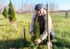 Более 600 саженцев высажено на территориях сельских советов