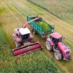 Сохранить деревню