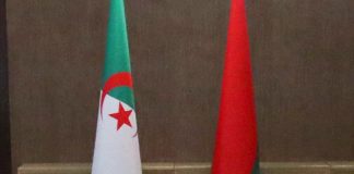 Лукашенко 2-3 декабря совершит официальный визит в Алжир