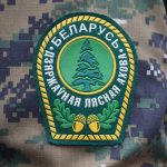 Лесная охрана перейдет на усиленный режим работы с 15 декабря