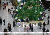 Познавательно, увлекательно, красиво. На выставке «Моя Беларусь» в праздничные выходные ажиотаж