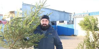 Сегодня в райцентре на площадке вблизи рынка «Паляшук» работает елочный базар