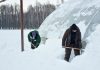 Дружной командой работники Буда-Кошелевского опытного лесхоза вышли на борьбу со стихией