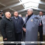 Лукашенко ориентирует на более быстрое развитие племенного животноводства в Беларуси