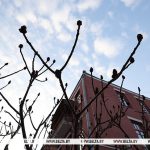 Белгидромет: в предстоящие выходные в Беларуси сохранится солнечная и аномально теплая погода