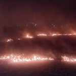 С начала года в области зафиксировано 88 возгораний в природных экосистемах