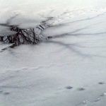 ОСВОД предостерегает от выхода на лед