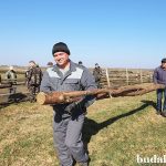 На областном субботнике – особое внимание сельхозобъектам