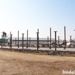 Основная задача – сохранить поголовье