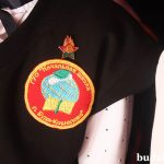 В рядах октябрят – пополнение