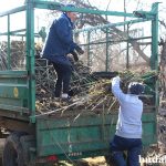 Активно трудятся и в райцентре: здесь красят, подметают, убирают мусор